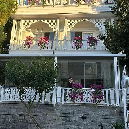 Hi Ivy Bueyuekada מלון