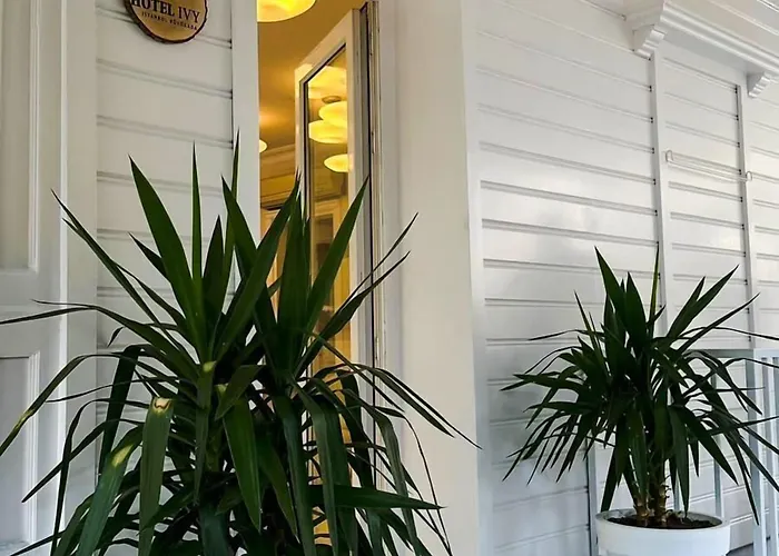 Hotel Hi Ivy Bueyuekada *